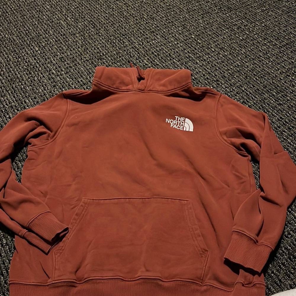 The north face men’s hoodie sweatshirt. Lightly worn, thick material.